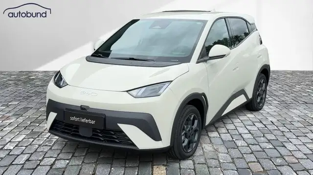 BYD Dolphin Surf