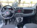 Fiat Panda 1.0 hybrid Easy Grigio - thumbnail 7