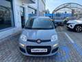 Fiat Panda 1.0 hybrid Easy Grigio - thumbnail 4