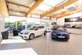Volkswagen Golf 1.4 TSI Highline Navi Sound Alu Climatronic Gelb - thumbnail 17