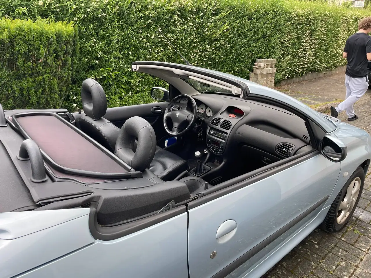 Peugeot 206 CC 110 Platinum, foto 9