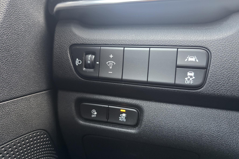 Kia e-Niro DynamicPlusLine 64 kWh | Warmtepomp | Stoel- en St — photo 13