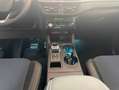 Ford Kuga 2.5 PHEV BLUECRUISE EDITION AUTO 243 5P Azul - thumbnail 11