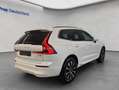 Volvo XC60 XC60 B5 AWD Core Aut Vollleder Voll-lED 19'' AHK H Weiß - thumbnail 5