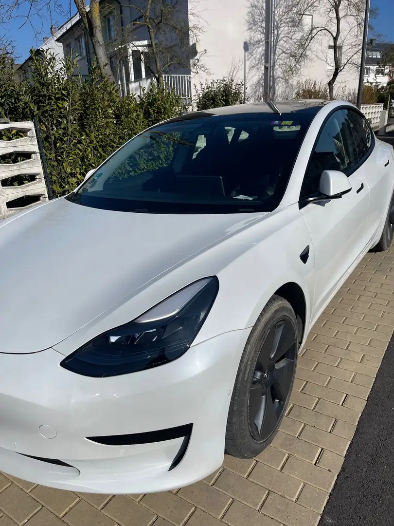 Tesla Model 3 Model 3 Standard Reichweite Plus Hinterradantrieb Blanc - 1