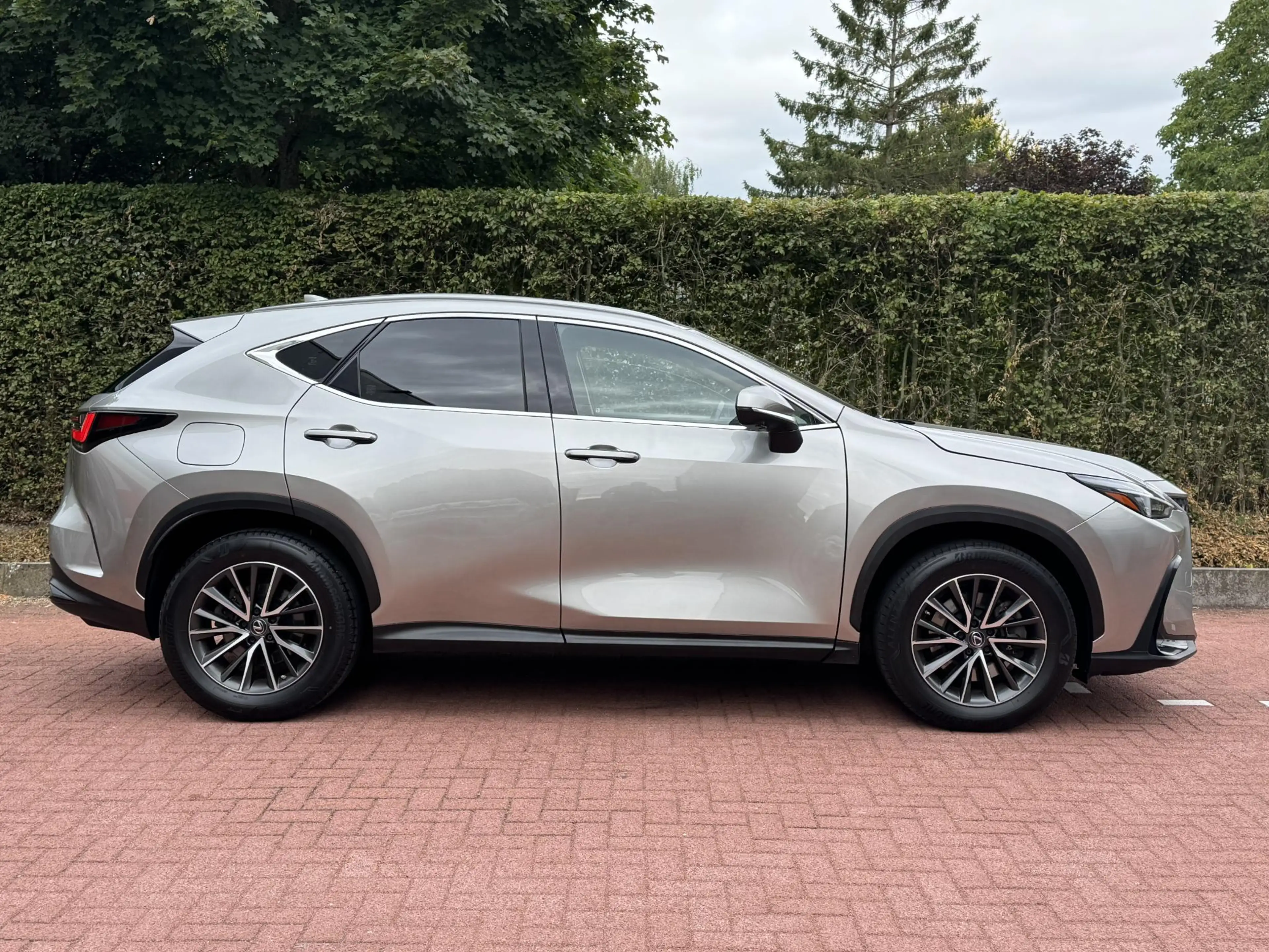 Lexus NX 450h+ AWD 360cam Trekhaak Dealer onderhouden — photo 14