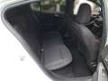 Ford Focus 1.0 EcoBoost Hybrid ST-LINE DESIGN Weiß - thumbnail 15