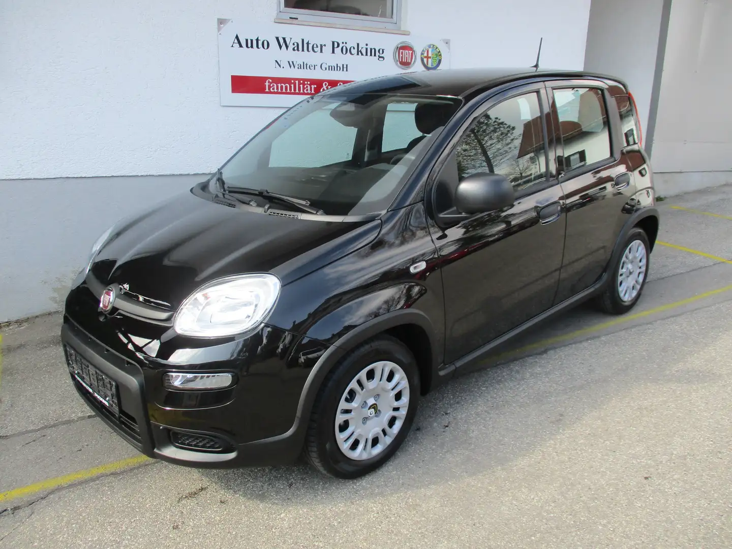 Fiat Panda Pandina, 1.0 Hybrid CityPaket, Klima, ESP, ZVm.FFB Schwarz - 1