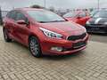 Kia Ceed SW / cee'd SW cee'd Rot - thumbnail 3