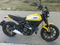 Ducati Scrambler 800 cc icon Amarillo - thumbnail 1