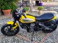Ducati Scrambler 800 cc icon Amarillo - thumbnail 11