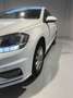 Volkswagen Golf 1.6TDI Ready2GO 85kW Blanc - thumbnail 3