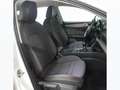 SEAT Leon 2.0 tdi Xcellence 115cv Bianco - thumbnail 12