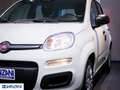 Fiat Panda 1.0 FireFly S&S Hybrid Weiß - thumbnail 17