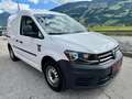 Volkswagen Caddy 2.0 TDI Kasten 1.Besitz.  Mwst. ausweisbar!! Weiß - thumbnail 4