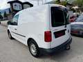 Volkswagen Caddy 2.0 TDI Kasten 1.Besitz.  Mwst. ausweisbar!! Weiß - thumbnail 10