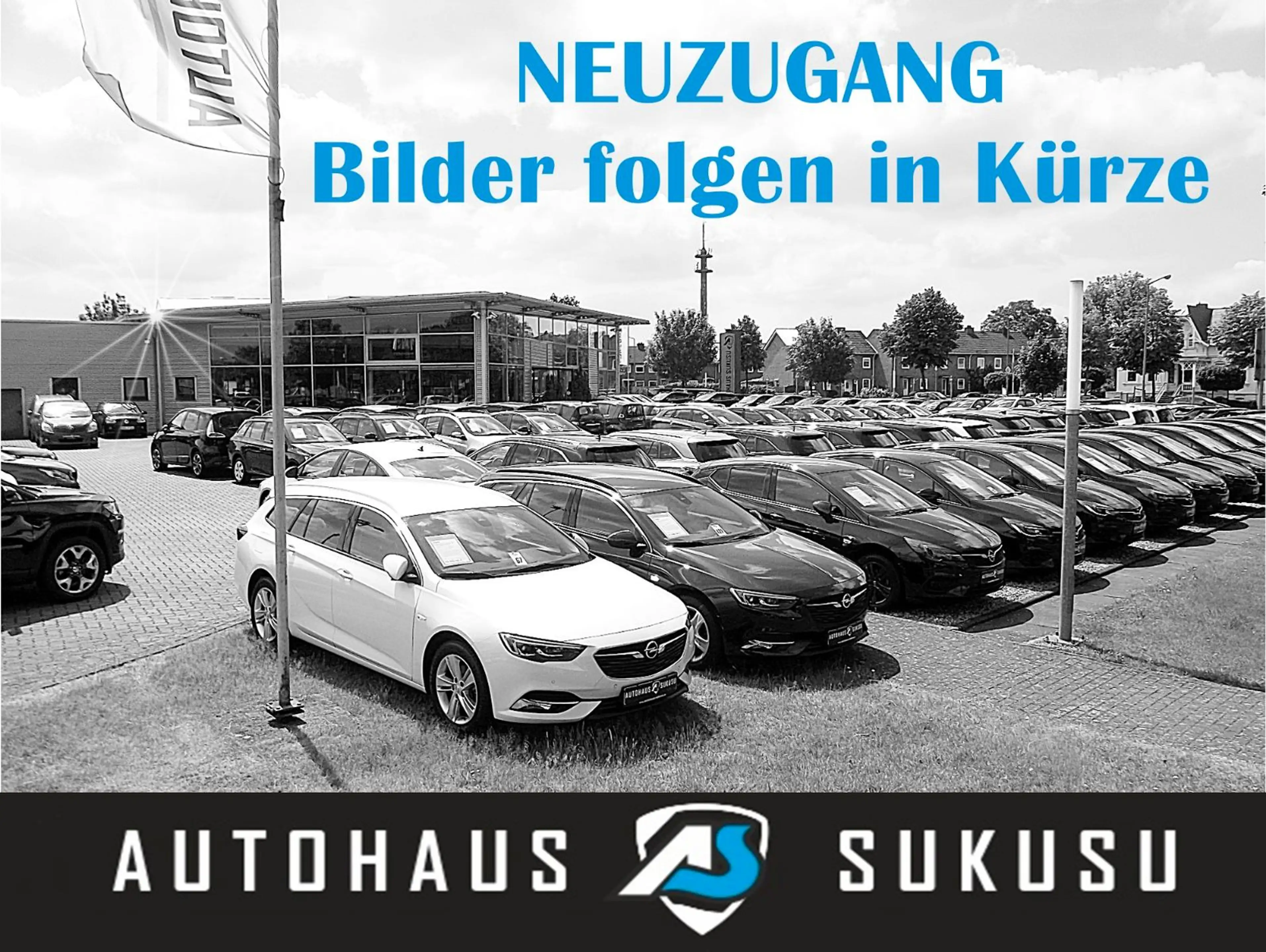 Opel Movano Kasten L3H2 BlueHDI 180