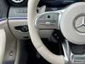 Mercedes-Benz AMG GT GT53 4M+ designo DynamicPlus/FirstClass/V8 Styl Azul - thumbnail 18