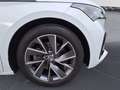 Skoda Enyaq iV 80x Weiß - thumbnail 12