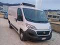Fiat Ducato Furgone Isotermico con Gruppo Frigo Bianco - thumbnail 1