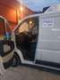 Fiat Ducato Furgone Isotermico con Gruppo Frigo Bianco - thumbnail 7