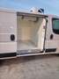 Fiat Ducato Furgone Isotermico con Gruppo Frigo Bianco - thumbnail 5
