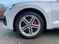 Audi SQ5 3.0 TDI quattro tiptronic V6 AHK Navi Pano Weiß - thumbnail 6