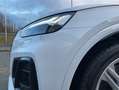 Audi SQ5 3.0 TDI quattro tiptronic V6 AHK Navi Pano Weiß - thumbnail 5