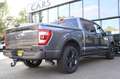 Ford F 150 5.0 V8 4x4 Aut. LARIAT Sport SuperCrew / LPG / Laa Grau - thumbnail 9