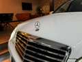 Mercedes-Benz E 550 Estate AMG Avantgarde Garantie Pano Memory Leder S Weiß - thumbnail 10