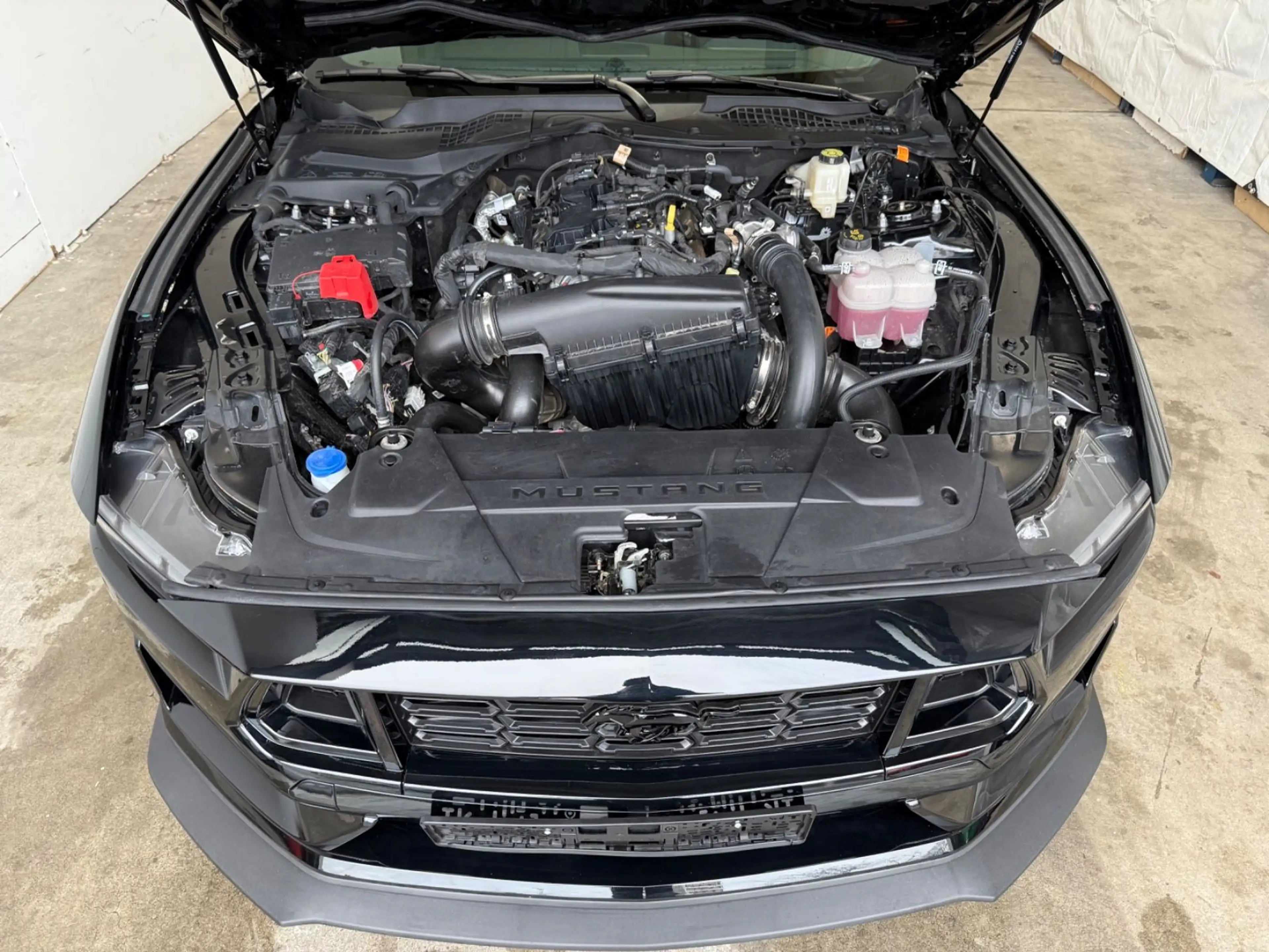 Ford Mustang 2.3 Leder CarPlay Led Digit Tacho Kamera — photo 14