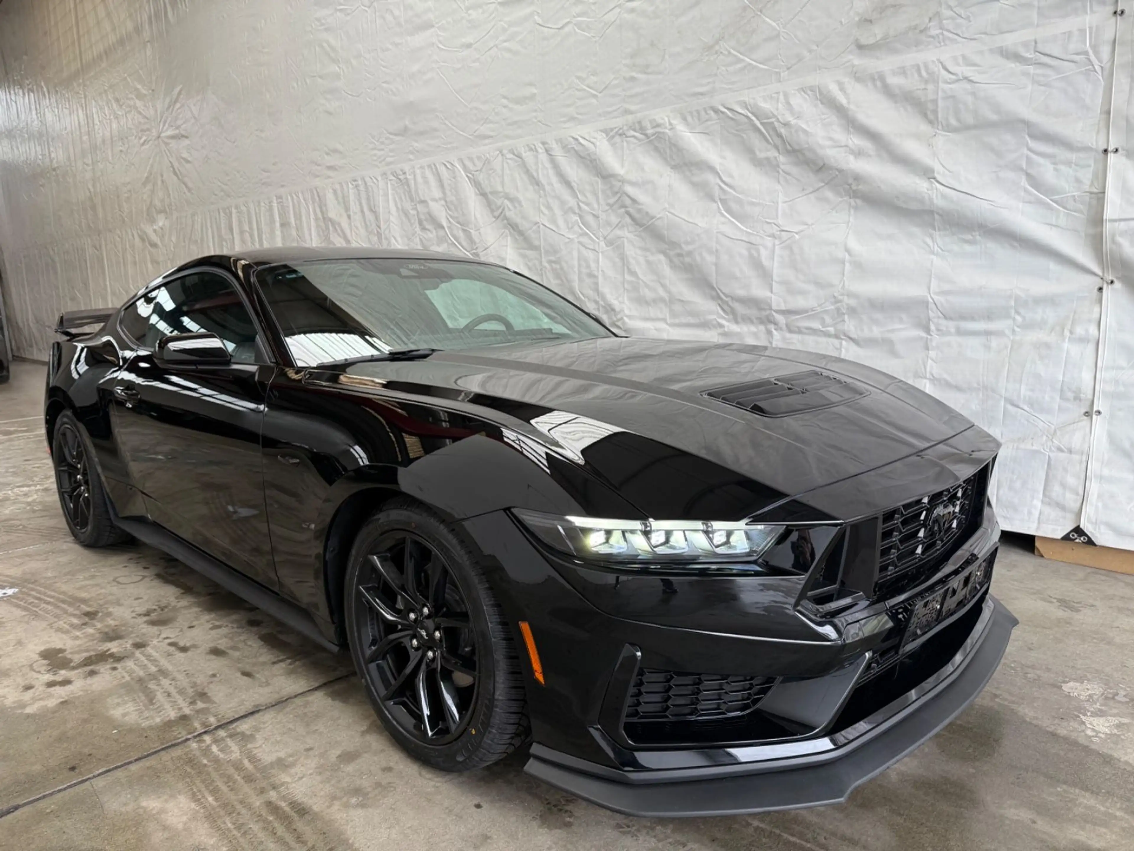 Ford Mustang 2.3 Leder CarPlay Led Digit Tacho Kamera — photo 2