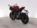 Triumph Speed Triple 1200 RR - thumbnail 10