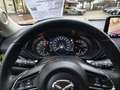 Mazda CX-5 SKYACTIV-G 165 NEWGROUND Beige - thumbnail 18