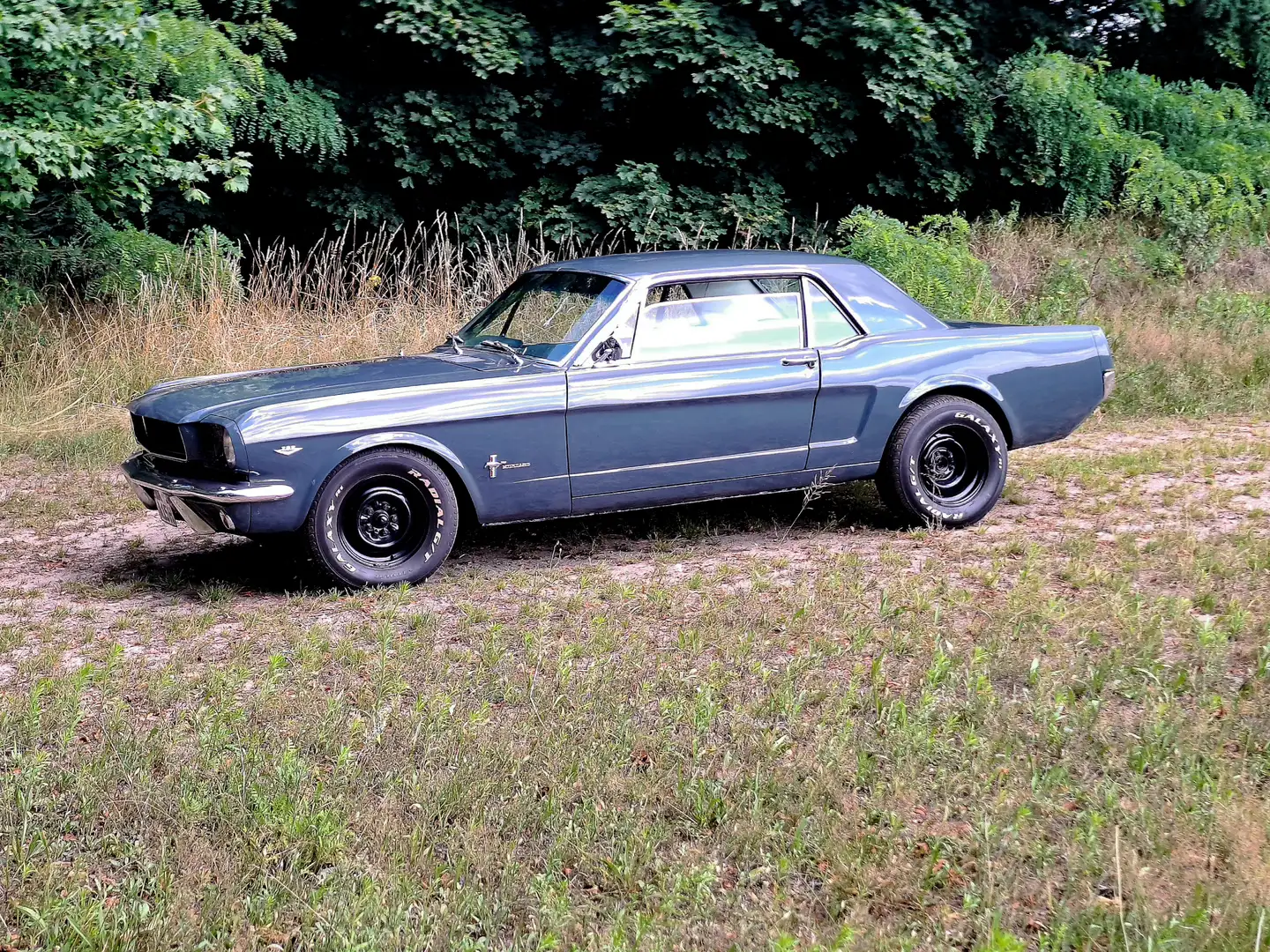 Ford Mustang Szürke - 1