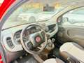 Fiat Panda 1.2 LOUNGE VOLANTE MULTIFUNZIONE PDC CERCHI 15 Rouge - thumbnail 9