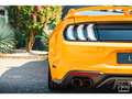 Ford Mustang GT 5.0L V8 450CH BVM Fury B\u0026O + Magneride Orange - thumbnail 20