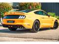 Ford Mustang GT 5.0L V8 450CH BVM Fury B\u0026O + Magneride Orange - thumbnail 13