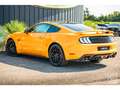 Ford Mustang GT 5.0L V8 450CH BVM Fury B\u0026O + Magneride Orange - thumbnail 16