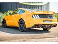 Ford Mustang GT 5.0L V8 450CH BVM Fury B\u0026O + Magneride Orange - thumbnail 15