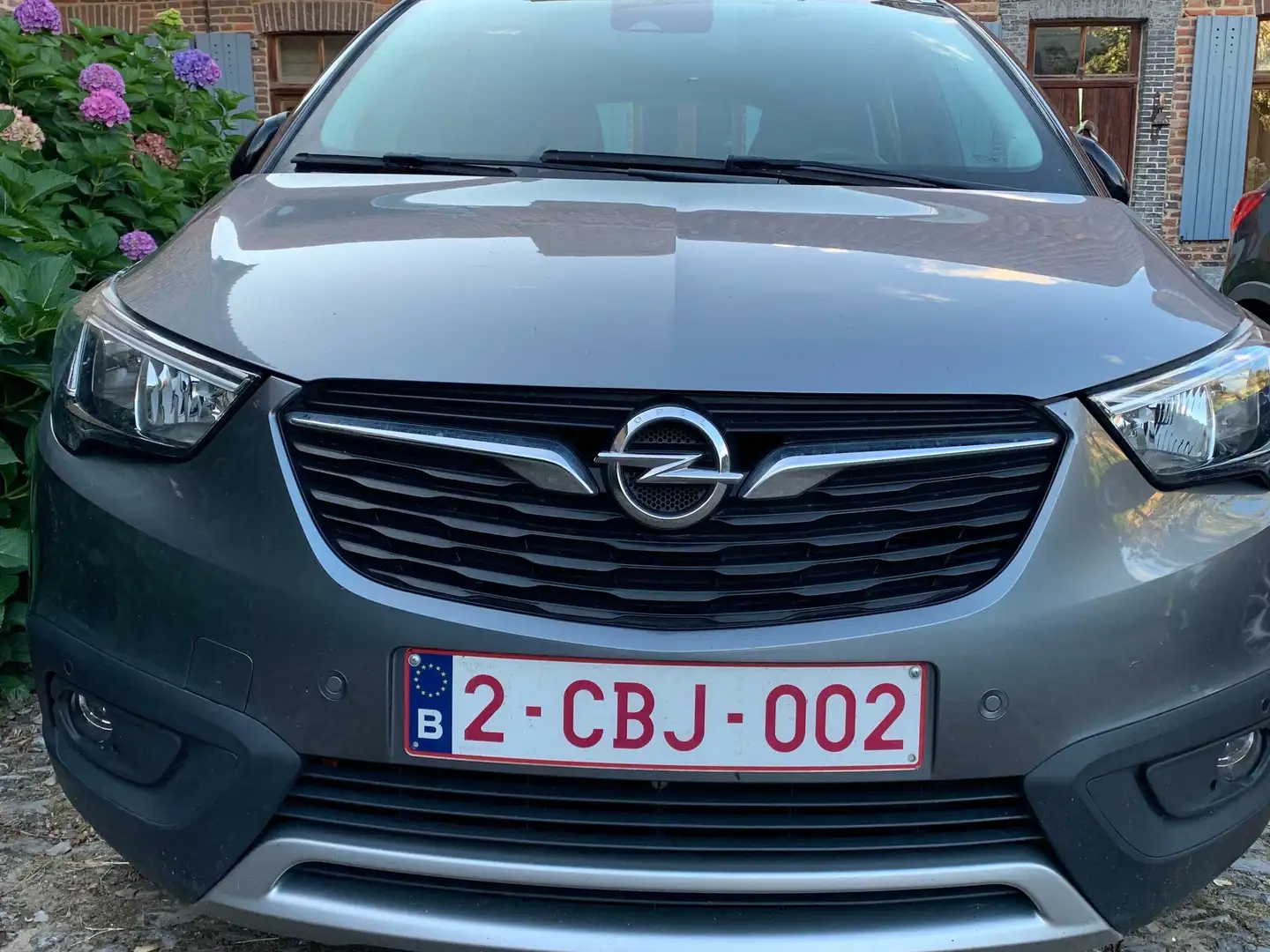 Opel Crossland X Crossland X 1.6 Diesel ECOTEC Start/Stop Edition Gris - 2