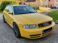 Audi S4 S4 Avant 2.7 quattro žuta - thumbnail 14