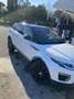 Land Rover Range Rover Evoque 5p 2.0 td4 Pure 150cv - thumbnail 2