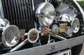 Rover Silver - thumbnail 14