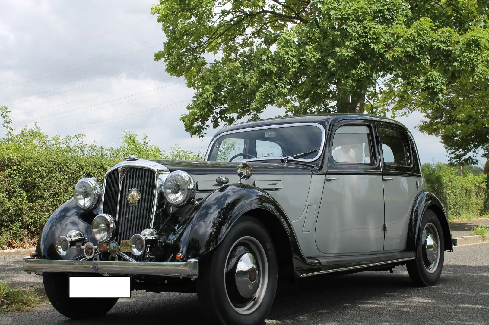 Rover Silver - 1