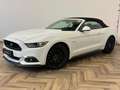 Ford Mustang Convertible 5.0 GT|CABRIOLET|AUTOMAAT|422PK| Weiß - thumbnail 1