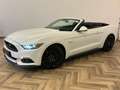 Ford Mustang Convertible 5.0 GT|CABRIOLET|AUTOMAAT|422PK| Weiß - thumbnail 2