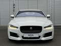 Jaguar XE 20d 180PS R-Sport Automatik Blanc - thumbnail 4