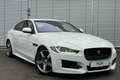 Jaguar XE 20d 180PS R-Sport Automatik Blanc - thumbnail 1