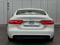 Jaguar XE 20d 180PS R-Sport Automatik Blanc - thumbnail 7